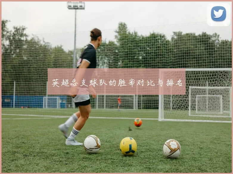 英超各支球队的胜率对比与排名