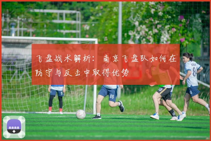 飞盘战术解析：南京飞盘队如何在防守与反击中取得优势